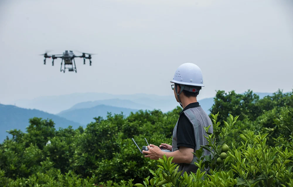 DJI Agras T25P nad polem kukurydzy na tle gór – automatyczne mapowanie i planowanie zabiegów.