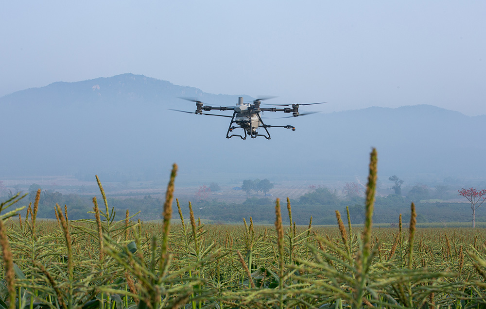 DJI Agras T100 – modułowa platforma rolnicza