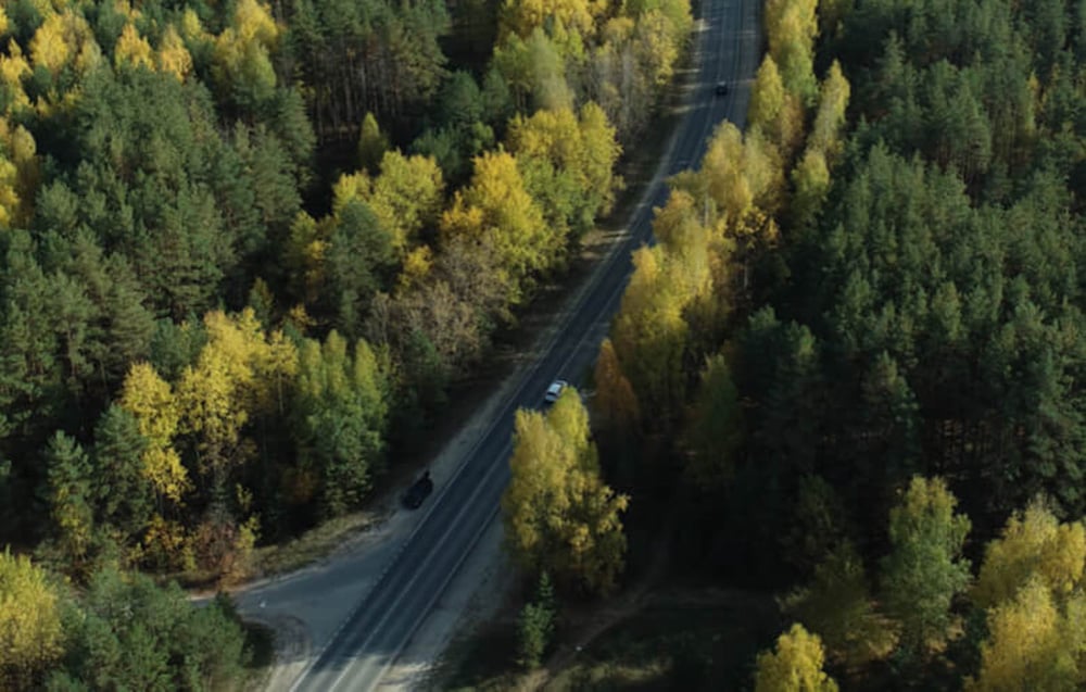 droga przecinająca zielony las