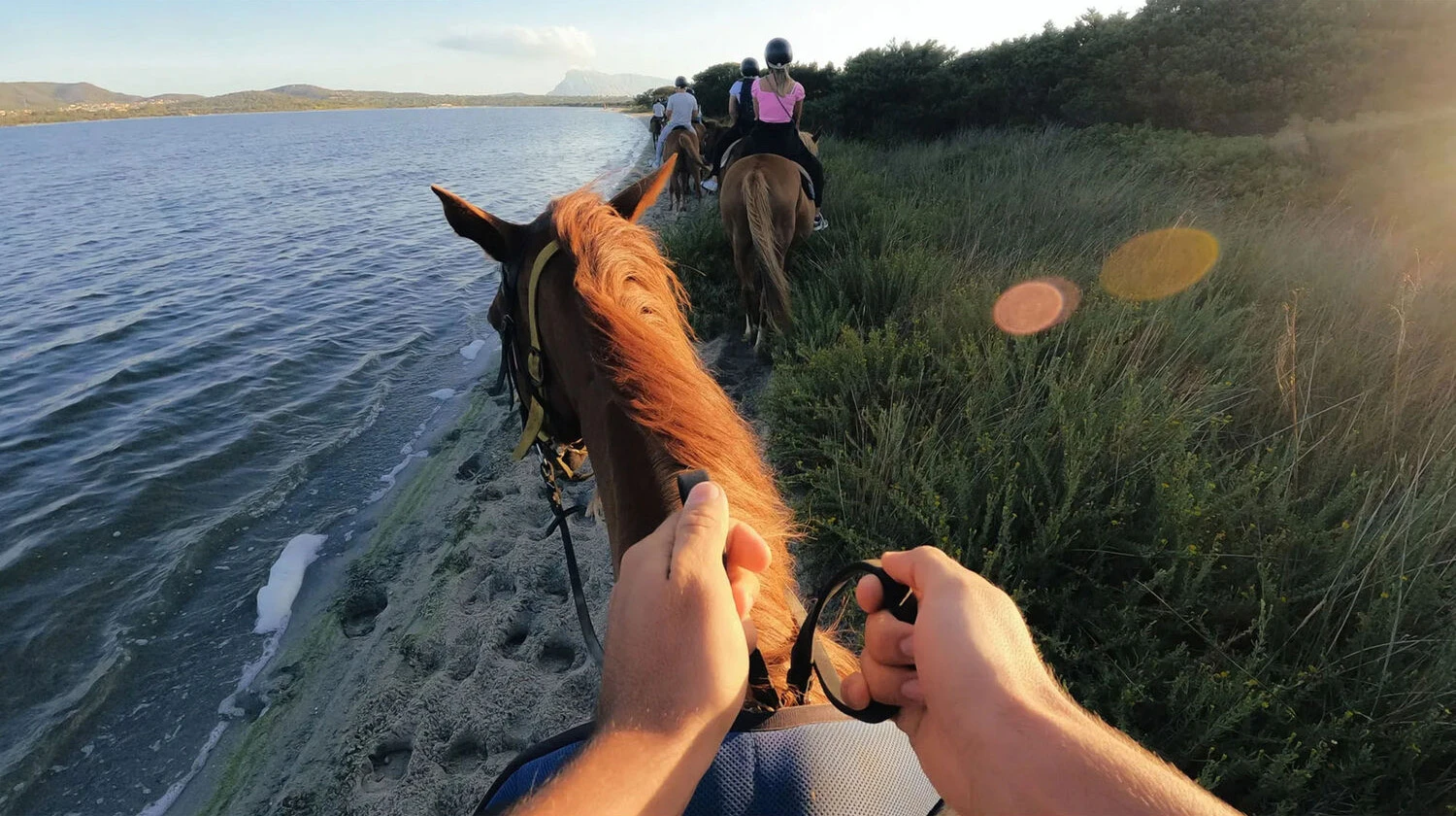 GoPro Head Strap 2.0