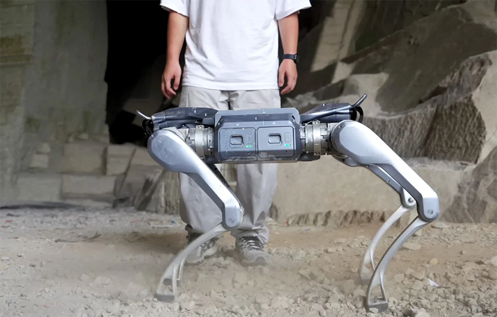 Unitree A2 stoi przed operatorem w terenie – robot jako elastyczna platforma do zadań przemysłowych i inspekcyjnych.