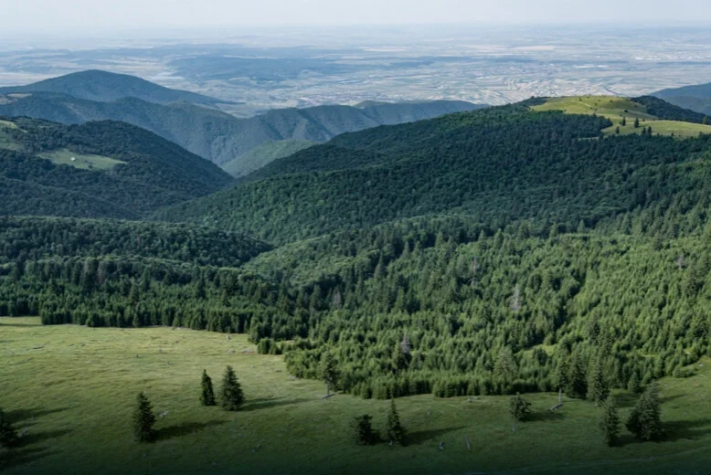 DJI Matrice 400 z Zenmuse L3 do analiz leśnych i środowiskowych