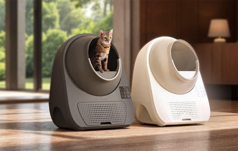 Kot korzystający z automatycznej kuwety CATLINK Scooper Luxury ProX