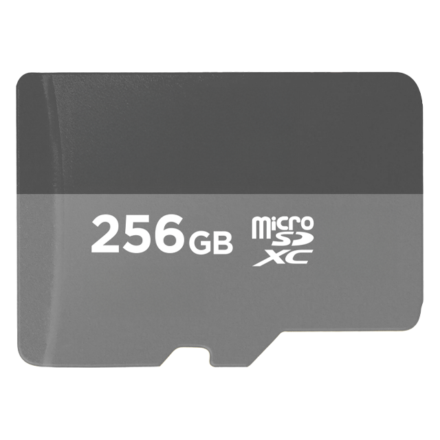 Karta pamięci 256GB
