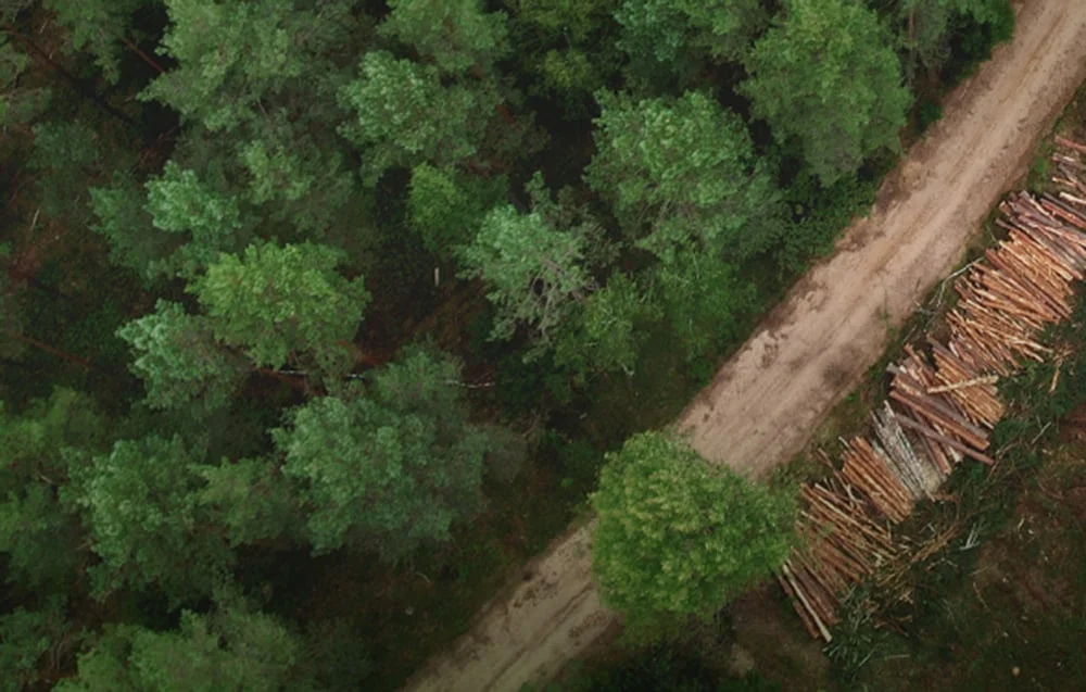 DJI Terra Agriculture