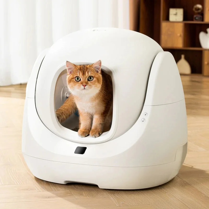 Kot siedzący w wejściu kuwety CATLINK BayMax
