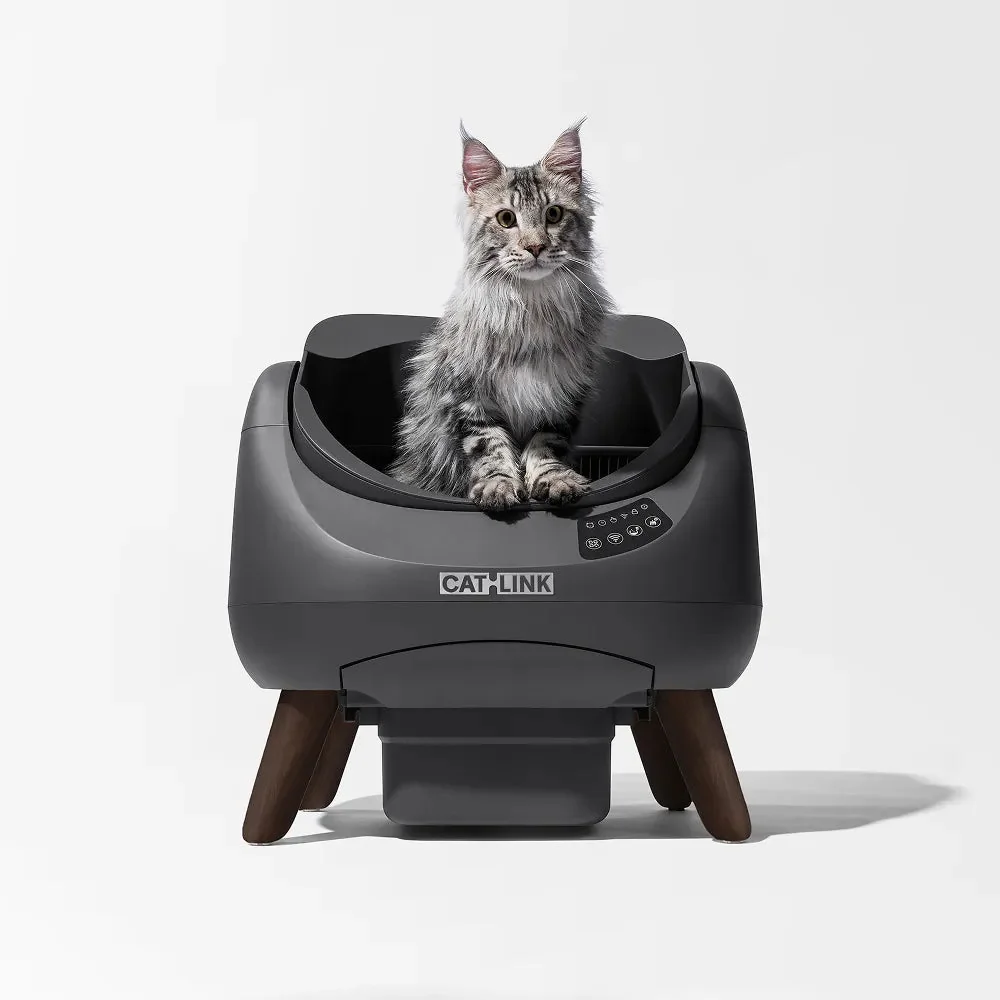 Kot w otwartej kuwecie samoczyszczącej CATLINK Open-X szara