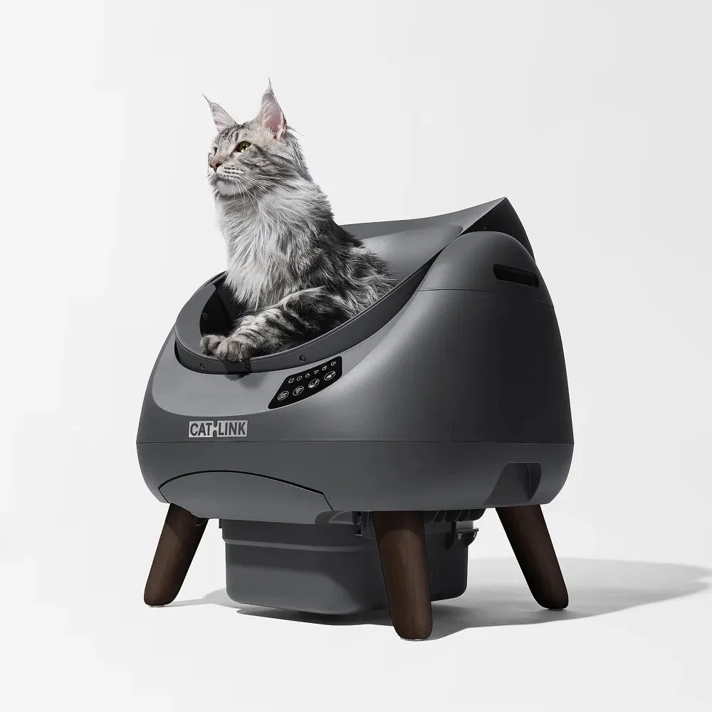 Kot siedzący w otwartej misie kuwety CATLINK Open-X szara