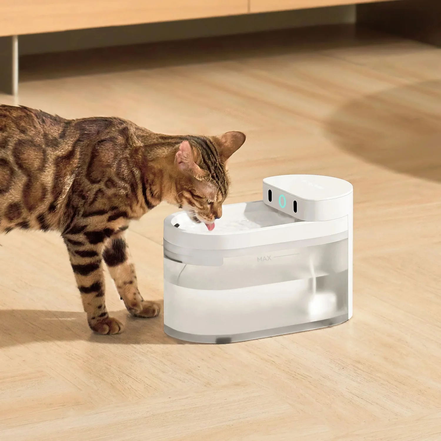Kot pijący wodę z bezprzewodowej fontanny CATLINK Pure 3 w salonie