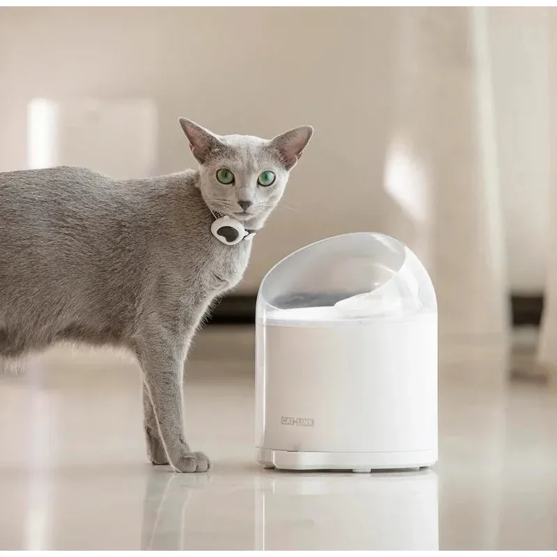 Kot stojący przy fontannie CATLINK Pure 2 UV w salonie