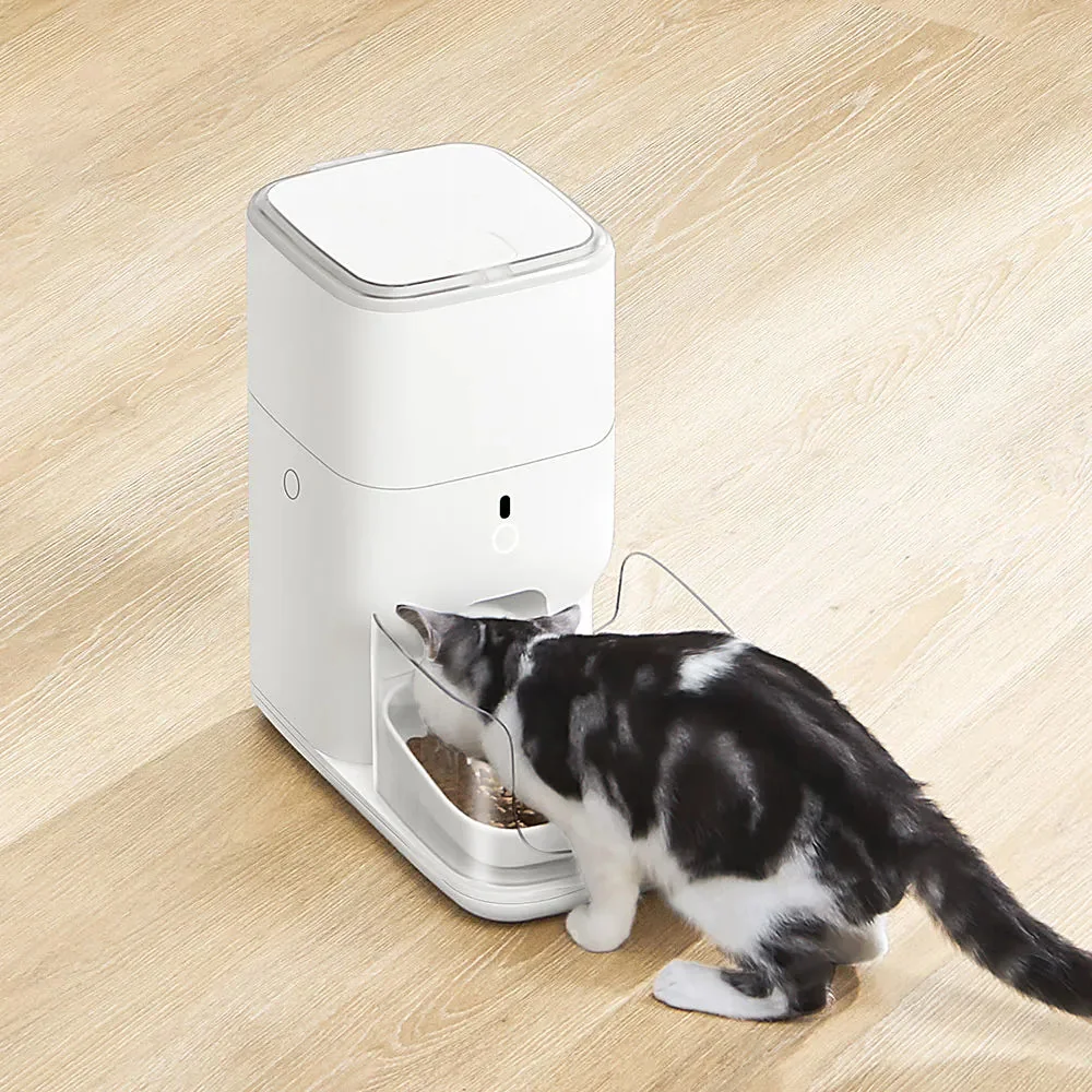 Kot jedzący z karmnika CATLINK Fresh 2 Pro z ceramiczną miską