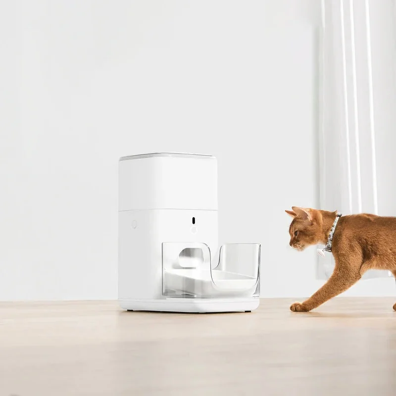 Kot idący do karmnika CATLINK Fresh 2 Standard w jasnym pokoju