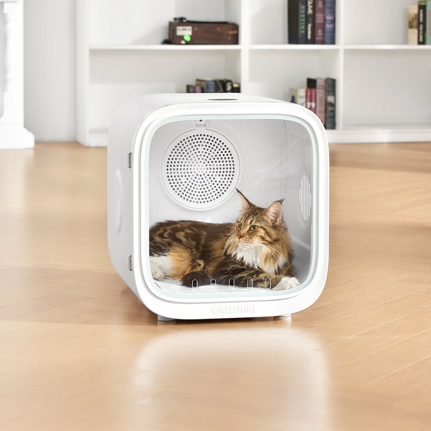 Kot leżący w komorze suszarki CATLINK Smart Pet Dryer Standard w salonie